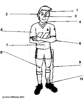 body2.JPG